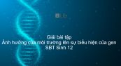 Giải SBT Sinh 12 Bài 13: Ảnh hưởng của môi trường lên sự biểu hiện của gen
