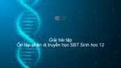 Giải SBT Sinh 12 Bài 23: Ôn tập phần di truyền học