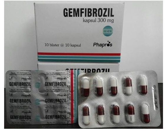 Thuốc Gemfibrozil - Giúp giảm lượng chất béo