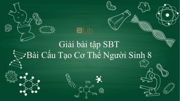 Giải bài tập SBT Sinh học 8 Bài 2: Cấu Tạo Cơ Thể Người