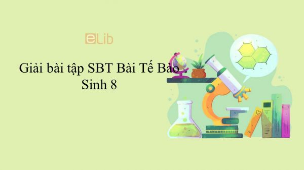 Giải bài tập SBT Sinh học 8 Bài 3: Tế Bào