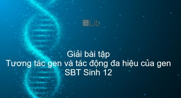 Giải SBT Sinh 12 Bài 10: Tương tác gen và tác động đa hiệu của gen