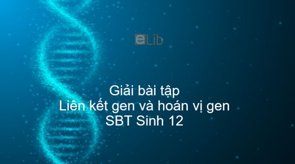 Giải SBT Sinh 12 Bài 11: Liên kết gen và hoán vị gen