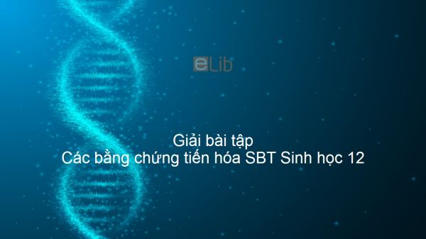 Giải SBT Sinh 12 Bài 24: Các bằng chứng tiến hóa