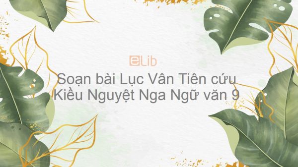 Soạn bài Lục Vân Tiên cứu Kiều Nguyệt Nga Ngữ văn 9 đầy đủ