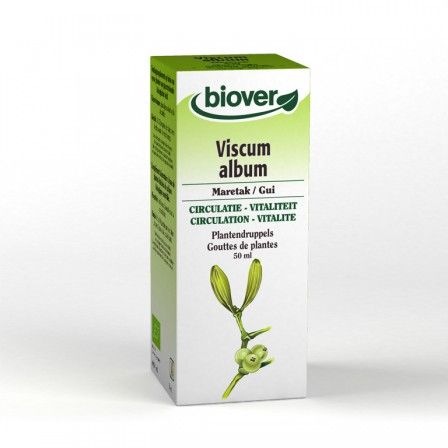 Thuốc Viscum album - Điều trị rối loạn tăng huyết áp và bệnh tim mạch