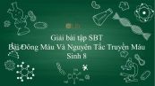 Giải bài tập SBT Sinh học 8 Bài 15: Đông Máu Và Nguyên Tắc Truyền Máu