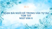 Soạn bài Ngôi kể trong văn tự sự Ngữ văn 6 tóm tắt