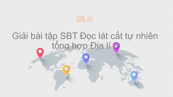 Giải bài tập SBT Địa lí 8 Bài 40: Thực hành: Đọc lát cắt tự nhiên tổng hợp