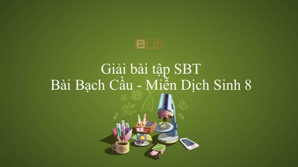 Giải bài tập SBT Sinh học 8 Bài 14: Bạch Cầu - Miễn Dịch