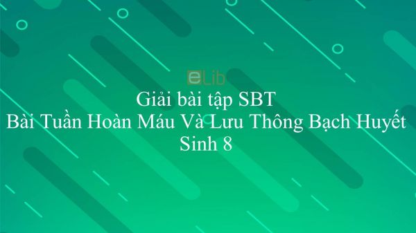 Giải bài tập SBT Sinh học 8 Bài 16: Tuần Hoàn Máu Và Lưu Thông Bạch Huyết