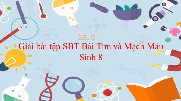 Giải bài tập SBT Sinh học 8 Bài 17: Tim và Mạch Máu