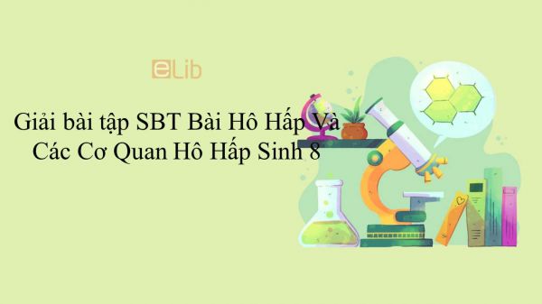 Giải bài tập SBT Sinh học 8 Bài 20: Hô Hấp Và Các Cơ Quan Hô Hấp