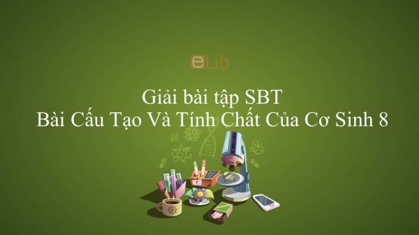 Giải bài tập SBT Sinh học 8 Bài 9: Cấu Tạo Và Tính Chất Của Cơ