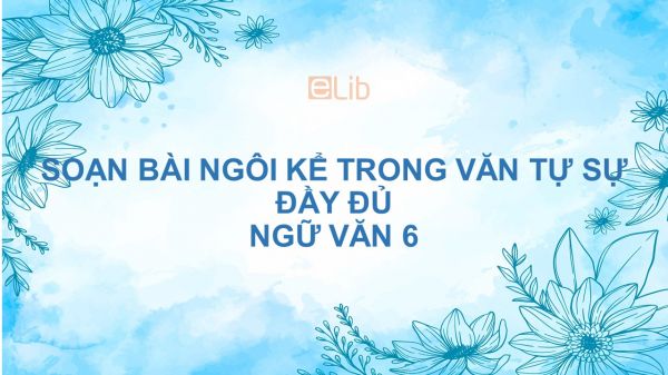 Soạn bài Ngôi kể trong văn tự sự Ngữ văn 6 đầy đủ