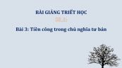 Bài 3: Tiền công trong chủ nghĩa tư bản