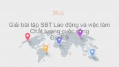 Giải bài tập SBT Địa lí 9 Bài 4: Lao động và việc làm. Chất lượng cuộc sống