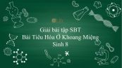 Giải bài tập SBT Sinh học 8 Bài 25: Tiêu Hóa Ở Khoang Miệng