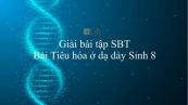 Giải bài tập SBT Sinh học 8 Bài 27: Tiêu hóa ở dạ dày