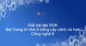 Giải bài tập SGK Công nghệ 6 Bài 12: Trang trí nhà ở bằng cây cảnh và hoa