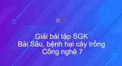 Giải bài tập SGK Công nghệ 7 Bài 12: Sâu, bệnh hại cây trồng