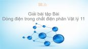 Giải bài tập SGK Vật lý 11 Bài 14: Dòng điện trong chất điện phân