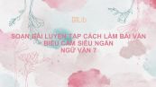 Soạn bài Luyện tập cách làm văn bản biểu cảm Ngữ văn 7 siêu ngắn
