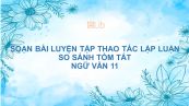 Soạn bài Luyện tập thao tác lập luận so sánh Ngữ văn 11 tóm tắt