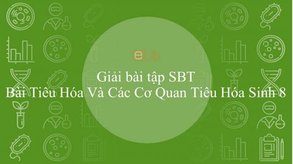 Giải bài tập SBT Sinh học 8 Bài 24: Tiêu Hóa Và Các Cơ Quan Tiêu Hóa