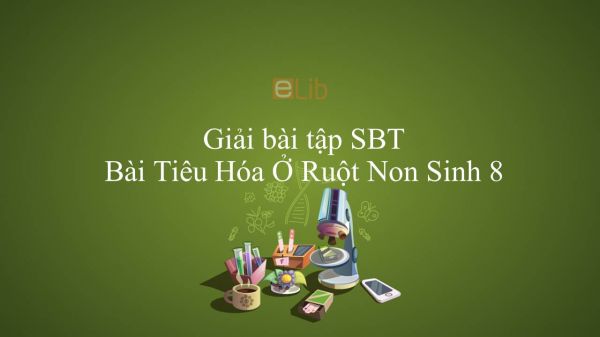 Giải bài tập SBT Sinh học 8 Bài 28: Tiêu Hóa Ở Ruột Non