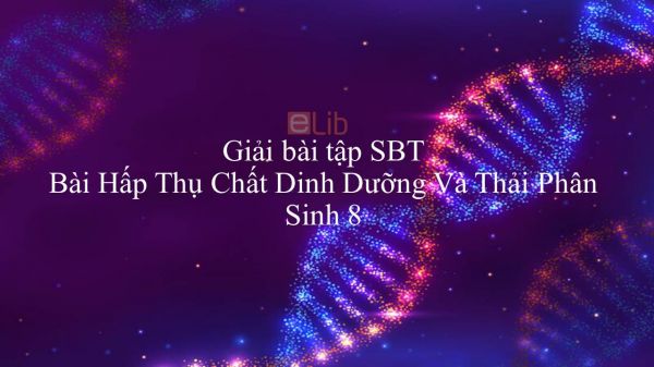 Giải bài tập SBT Sinh học 8 Bài 29: Hấp Thụ Chất Dinh Dưỡng Và Thải Phân