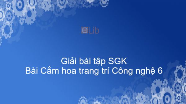 Giải bài tập SGK Công nghệ 6 Bài 13: Cắm hoa trang trí