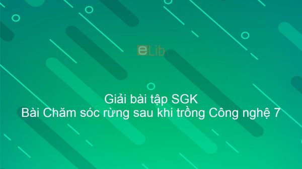 Giải bài tập SGK Công nghệ 7 Bài 27: Chăm sóc rừng sau khi trồng