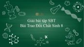 Giải bài tập SBT Sinh học 8 Bài 31: Trao Đổi Chất