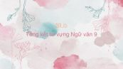 Tổng kết từ vựng Ngữ văn 9