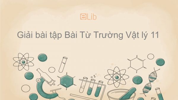 Giải bài tập SGK Vật lý 11 Bài 19: Từ trường