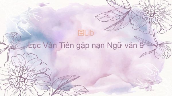 Lục Vân Tiên gặp nạn Ngữ văn 9