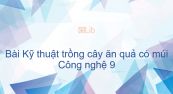 Công nghệ 9 Bài 7: Kỹ thuật trồng cây ăn quả có múi