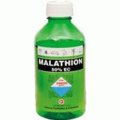 Thuốc Malathion - Điều trị chứng rận chấy