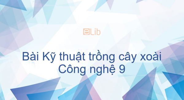 Công nghệ 9 Bài 10: Kỹ thuật trồng cây xoài