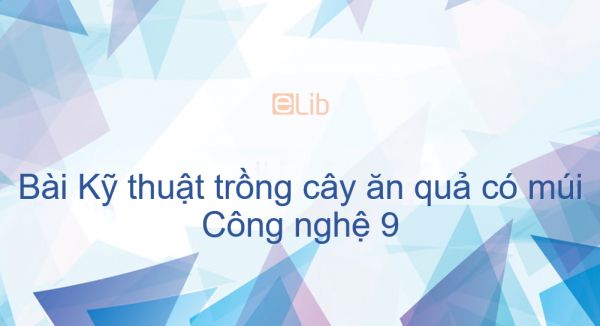 Công nghệ 9 Bài 7: Kỹ thuật trồng cây ăn quả có múi