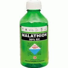 Thuốc Malathion - Điều trị chứng rận chấy