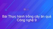 Công nghệ 9 Bài 13: Thực hành trồng cây ăn quả