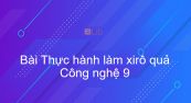 Công nghệ 9 Bài 15: Thực hành làm xirô quả