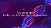 Giải bài tập SBT Sinh học 8 Bài 46: Trụ Não, Tiểu Não, Não Trung Gian