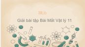 Giải bài tập SGK Vật lý 11 Bài 31: Mắt