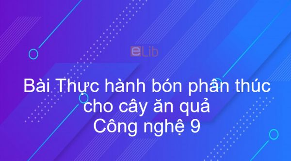 Công nghệ 9 Bài 14: Thực hành bón phân thúc cho cây ăn quả