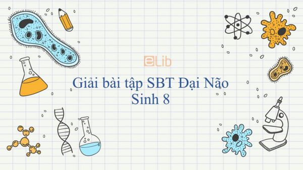 Giải bài tập SBT Sinh học 8 Bài 47: Đại Não