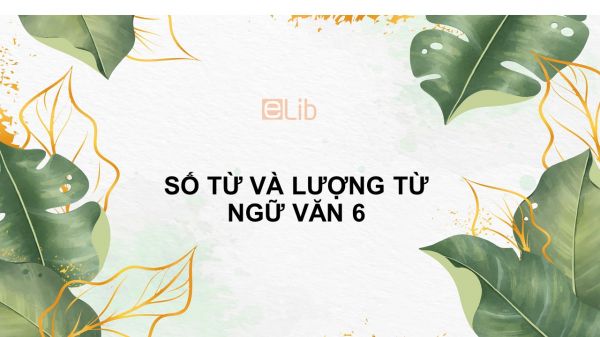 Số từ và lượng từ Ngữ văn 6