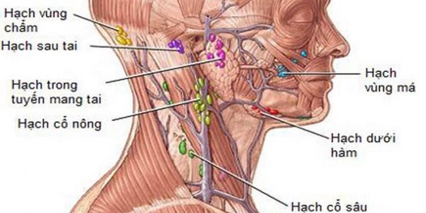 Bệnh ung thư chưa rõ nguyên phát - Triệu chứng, nguyên nhân và cách điều trị